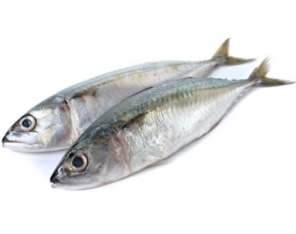 Mackerel / Ayala (Medium) (1kg)