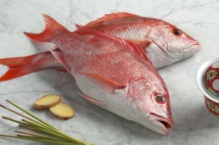 Red Snapper / Chempalli (1kg)