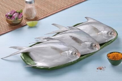 Pomfret / Avoli (Medium) 2-3 Fish per kg (1kg)